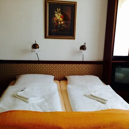 ホテル Thueringer Hof 3*